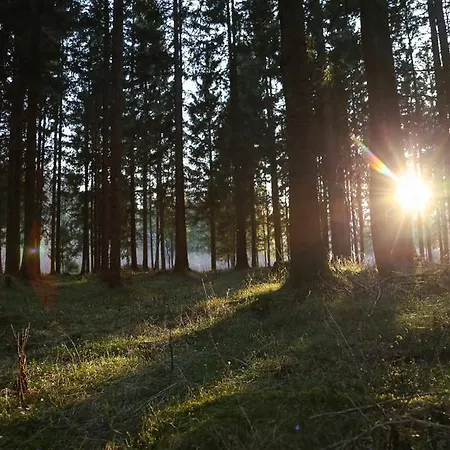 Hébergement de vacances Dobringers Chalet-dorf Waroes