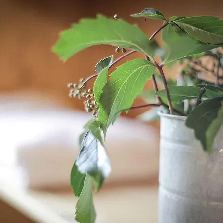 Dobringers Chalet-dorf Waroes *