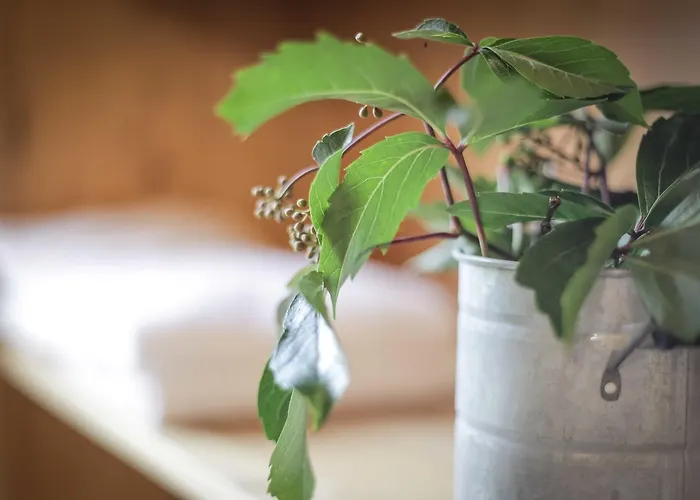 Dobringers Chalet-dorf Warös *